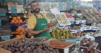 Acampamento Farroupilha gera curiosidade por suas frutas exóticas.