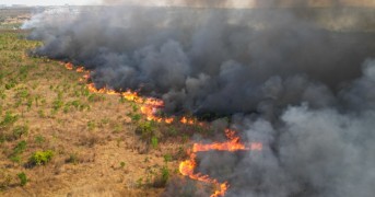 Incêndio No Parque Nacional De Brasília; Acompanhe O Que Está Acontecendo Neste Terceiro Dia!