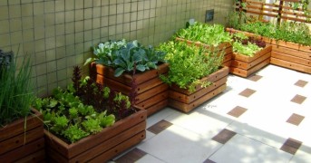 Horta em Casa: Como Começar Seu Próprio Cantinho Verde com Pouco Espaço