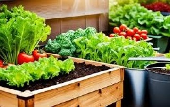 Cultivo de Hortas em Casa: Guia Prático para Plantar e Colher Alimentos Frescos