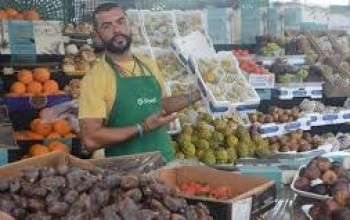 Acampamento Farroupilha gera curiosidade por suas frutas exóticas.