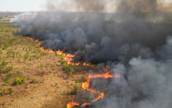 Incêndio No Parque Nacional De Brasília; Acompanhe O Que Está Acontecendo Neste Terceiro Dia!