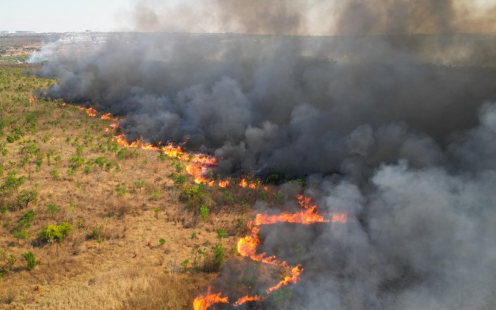 Incêndio No Parque Nacional De Brasília; Acompanhe O Que Está Acontecendo Neste Terceiro Dia!