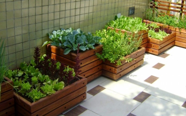 Horta em Casa: Como Começar Seu Próprio Cantinho Verde com Pouco Espaço