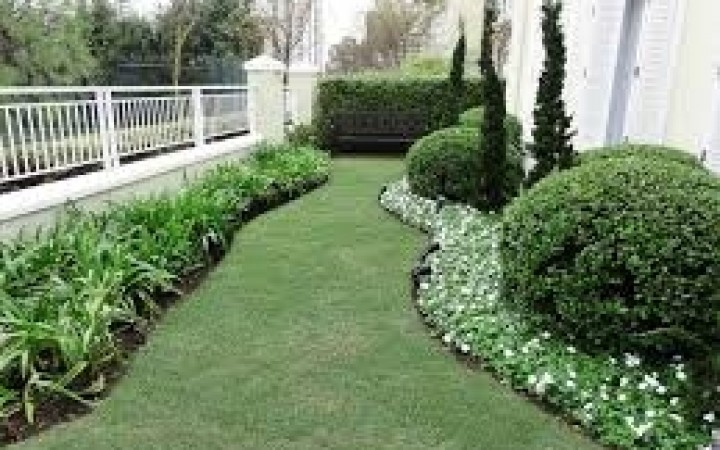 Manutenção de Jardins: Dicas Práticas para Cuidar e Preservar seu Espaço Verde